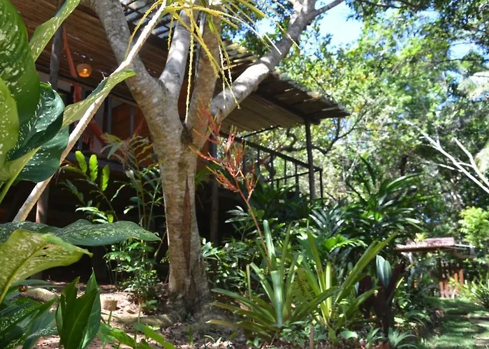 Quinta Do Caju Hotel Velha Boipeba